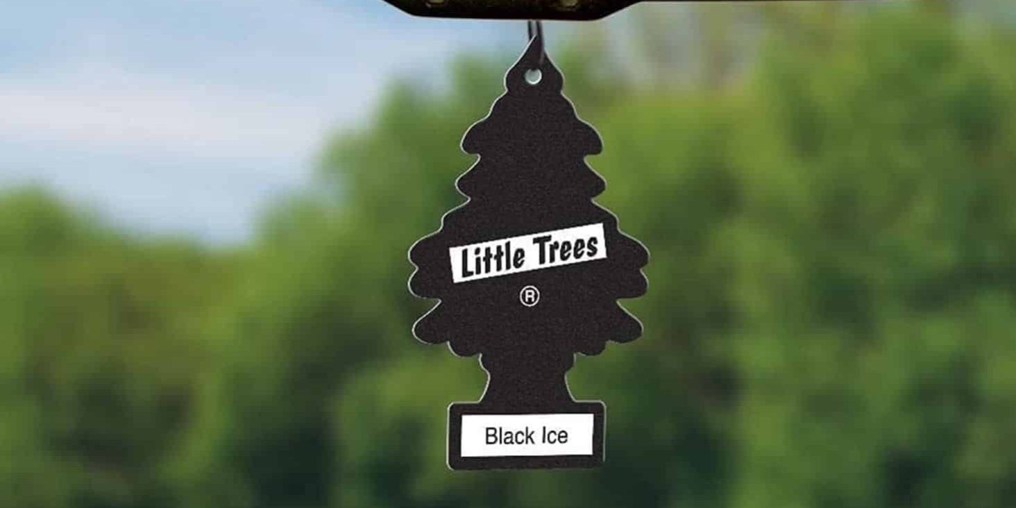 Little Trees Car Freshener, Black Ice, 10-Pack Air Fresheners