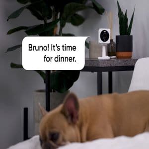 WYZE Cam OG 1080p HD Wi-Fi Security Camera – Indoor/Outdoor, Color Night Vision, Spotlight, 2-Way Audio Surveillance Cameras